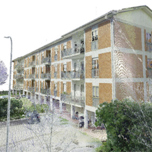 carinola acer campania